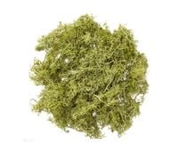 MECH JASNOZIELONY 30G DPZA-150 DP CRAFT