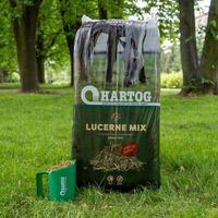 Sieczka Hartog Lucerne Mix 18 kg sieczka dla koni z lucerny