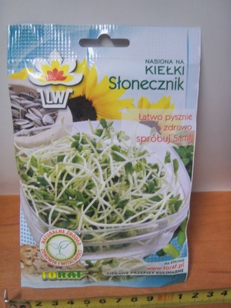 kiełki 20g SŁONECZNIK TF1402 zdjęcie 1