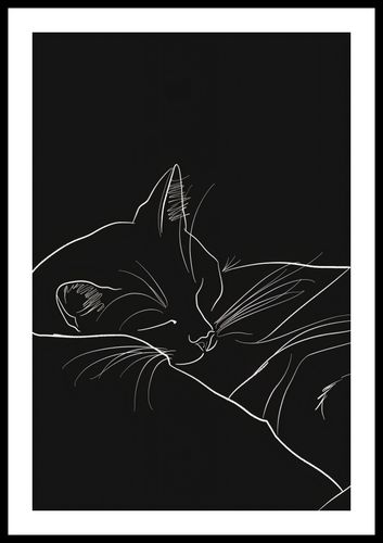 Plakat 40x60cm Nocny Spokój na Arena.pl