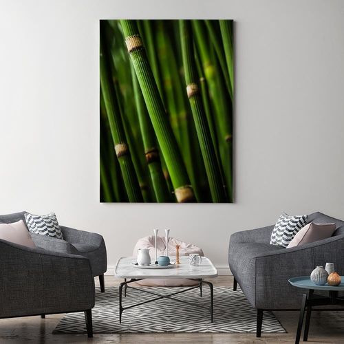 Obraz na płótnie – Canvas, bambusowy las 40x60 na Arena.pl