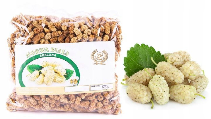 MORWA BIAŁA SUSZONA 500G !NATURALNA! zdjęcie 1