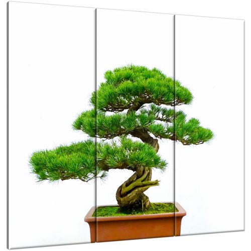 Fotoobraz 90X80 Bonsai na Arena.pl