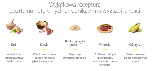 josera catelux 10kg na Arena.pl