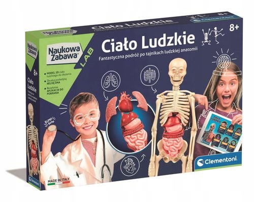 ciało ludzkie 2490 na Arena.pl