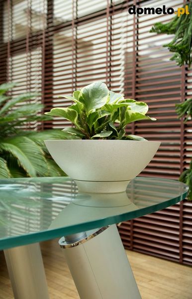 DONICZKA PLANET 290 A2 zdjęcie 5