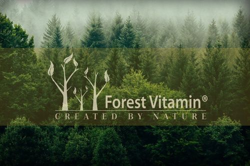 Soplówka Jeżowata 500mg 60kap LION'S MANE PAMIĘĆ MÓZG KONCENTRACJA na Arena.pl