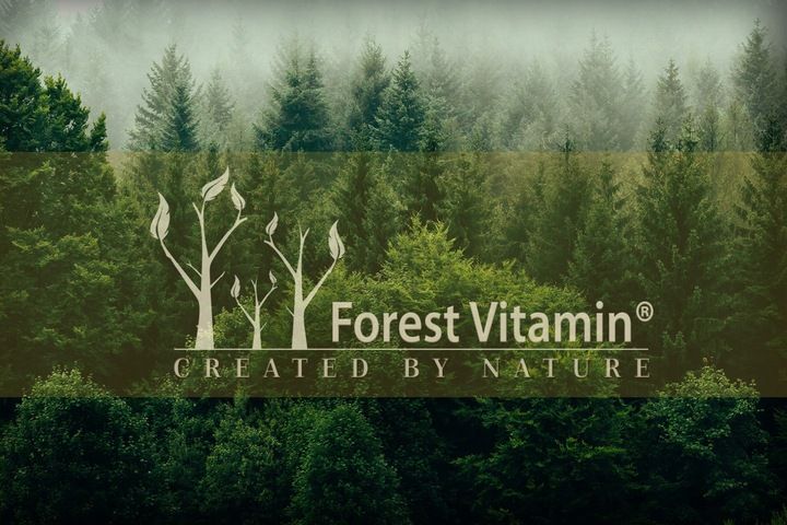 Soplówka Jeżowata 500mg 60kap LION'S MANE PAMIĘĆ MÓZG KONCENTRACJA zdjęcie 9