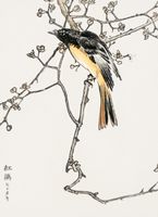 Plakat 40x55cm Siberian Blue-Tail, Kashu Japoński Vintage