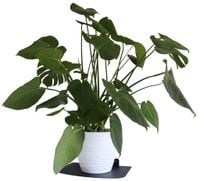 Solidny metalowy kwietnik wiszący ścienny loft półka na ścianę czarny