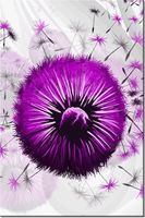 product-compare-58704830