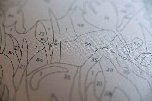 Malowanie po numerach – Monstera - 30x40 rama na Arena.pl