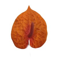 Anturium wyrobowe pomarańczowe 24 szt