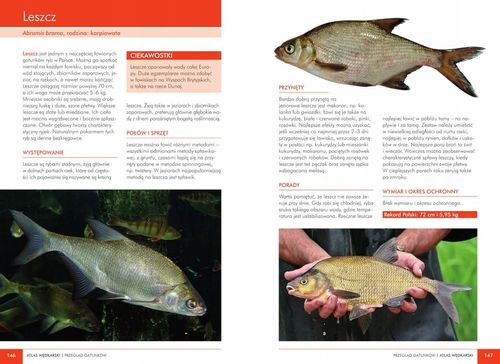 Atlas WĘDKARSKI Sprzęt Porady Opisy Gatunków SBM (TW) na Arena.pl