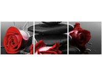 product-compare-58647572