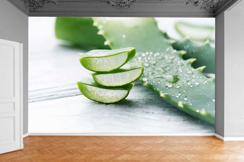 Fototapeta BIAŁE DESKI PLASTRY ALOESU SPA KUCHNIA na Arena.pl