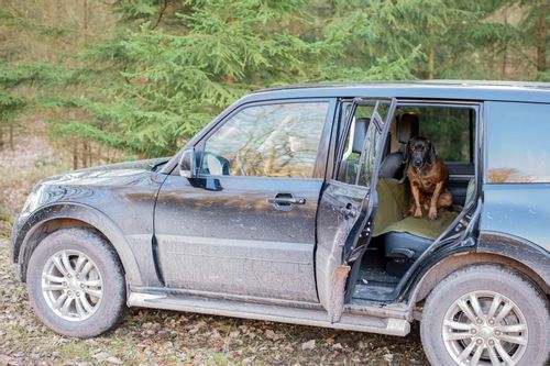 Pokrowiec dla psa na tylne siedzenie samochodu na Arena.pl