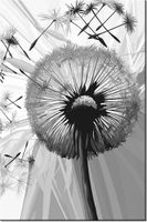 product-compare-58711925