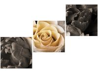 70 90CM OBRAZ 3 ELEM DELIKATNA RÓŻA ŚCIENNY DRUK PŁÓTNO