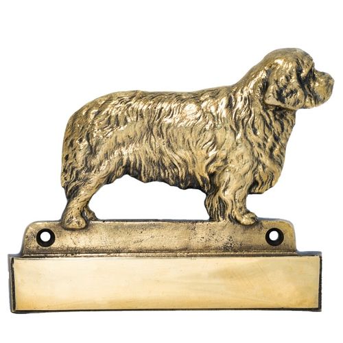 Clumber Spaniel - tabliczka - 1687 na Arena.pl