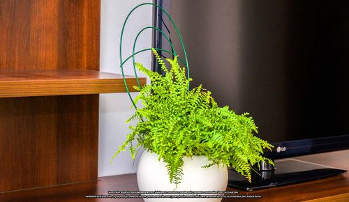 Podpora doniczkowa [2186], ELGarden na Arena.pl