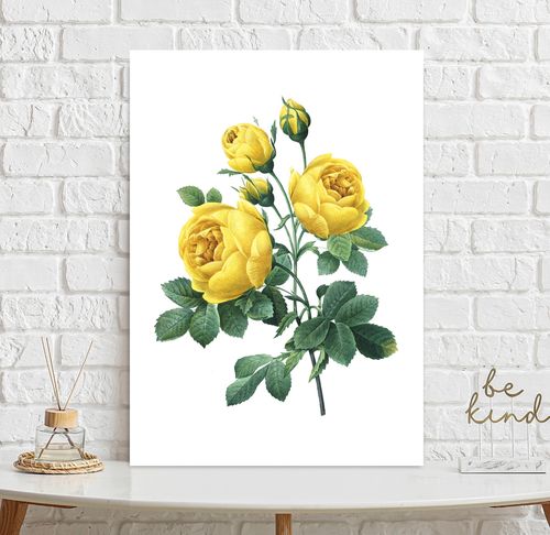 Plakat żółta róża vintage 30x40 cm na Arena.pl