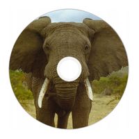 Nadruk na płycie Maxell CD-R 80 52x 049