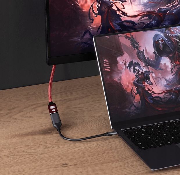 REAGLE Kabel przewód DisplayPort 1.4 DP 4K 165Hz 2k 240Hz 1,5M Display Port zdjęcie 4