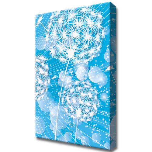 Obraz 20X30 Dmuchawce Abstrakcja Błękitne Tle na Arena.pl