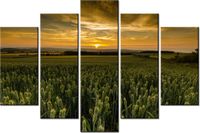 100CM 150CM OBRAZ 5 ELEM AYTON JONATHAN COMBE ŚCIENNY