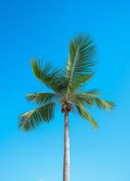 product-compare-59366889