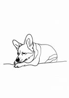 Plakat 42x59,4cm Śpiący Corgacz