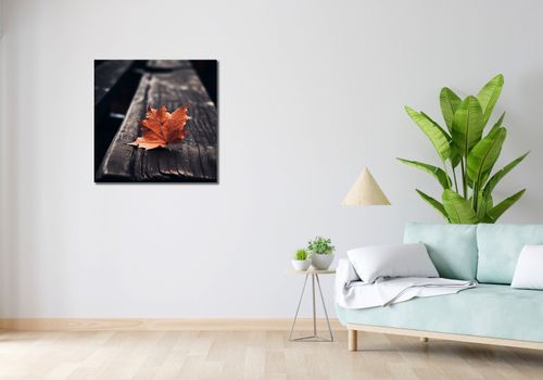 Obraz 70x70cm Pojedynczy Liść na Arena.pl