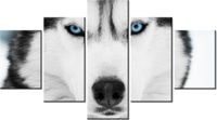 75CM 120 OBRAZ 5 ELEM HUSKY SYBERYJSKI ŚCIENNY DRUK