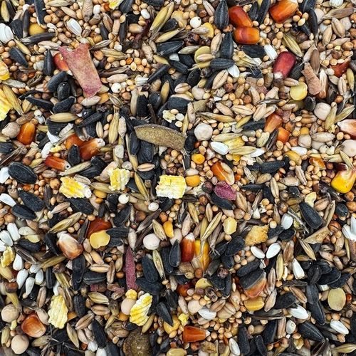 5kg Karma dla papug średnich papugi Nimfa Rozella pokarm STANDARD na Arena.pl