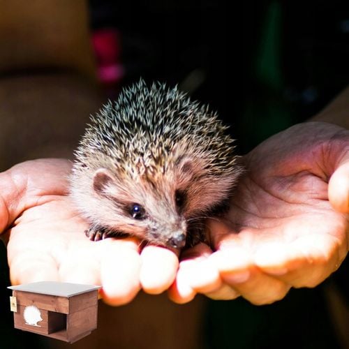 Domek dom dla Jeża jeży DREWNIANY budka dom legowisko producent XXL na Arena.pl