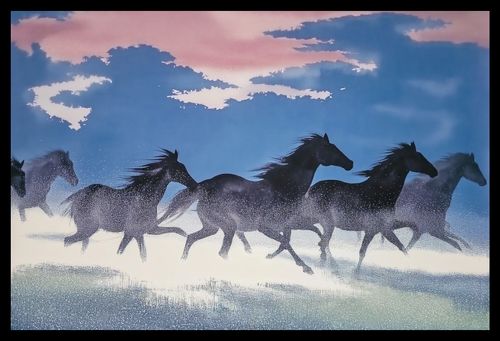 Plakat 45x30cm Wolność i Swoboda na Arena.pl