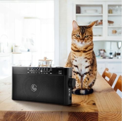 RADIO KUCHENNE DOMOWE PRZENOŚNE NA AKUMULATOR FM AM BLUETOOTH MICRO SD na Arena.pl