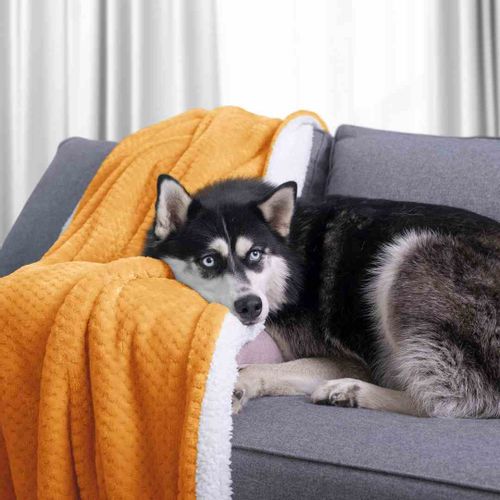 BLA/AH/SHLEEPY/ORANGE/170X210 na Arena.pl