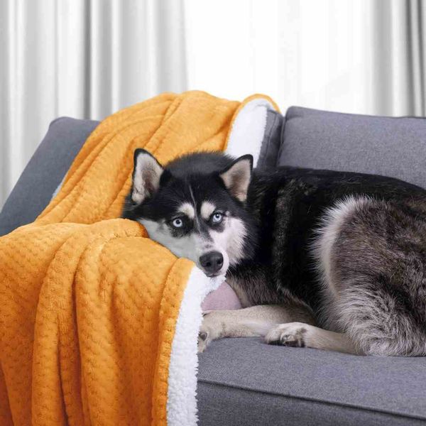 BLA/AH/SHLEEPY/ORANGE/170X210 zdjęcie 12