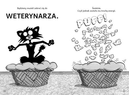 Zły Kocurek u weterynarza na Arena.pl