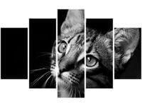 70 100CM OBRAZ 5 ELEM SPOJRZENIE VISUALPANIC DRUK PŁÓTNO