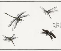 Plakat 60x50cm Ważki ilustracja Morimoto Toko Japoński Vintage do Salonu