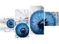 product-compare-58695899