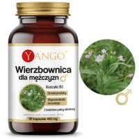 Yango WIERZBOWNICA dla MĘŻCZYZN 90 kapsułek