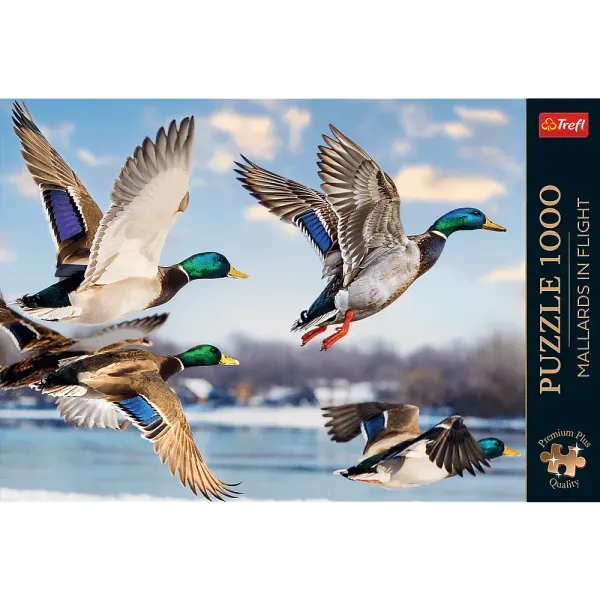 Puzzle 1000 elementów. Premium Plus Quality. Krzyżówki w locie zdjęcie 3