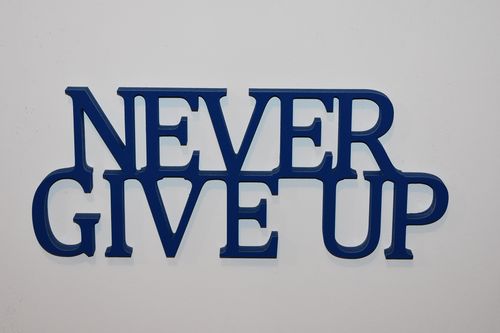 Napis 3D Never give up na Arena.pl