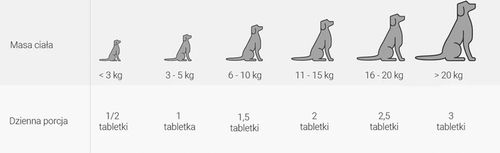 HEPAXAN 60 tabletek na wątrobe dla psów i kotów VEBIOT na Arena.pl