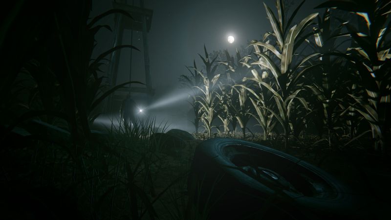 Outlast 2 Klucz CD-KEY Steam BEZ VPN Wysyłka 24/7 zdjęcie 5