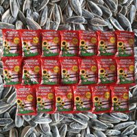 SŁONECZNIK PRAŻONY 150g SOLONY MIRASOL DUŻE ZIARNO